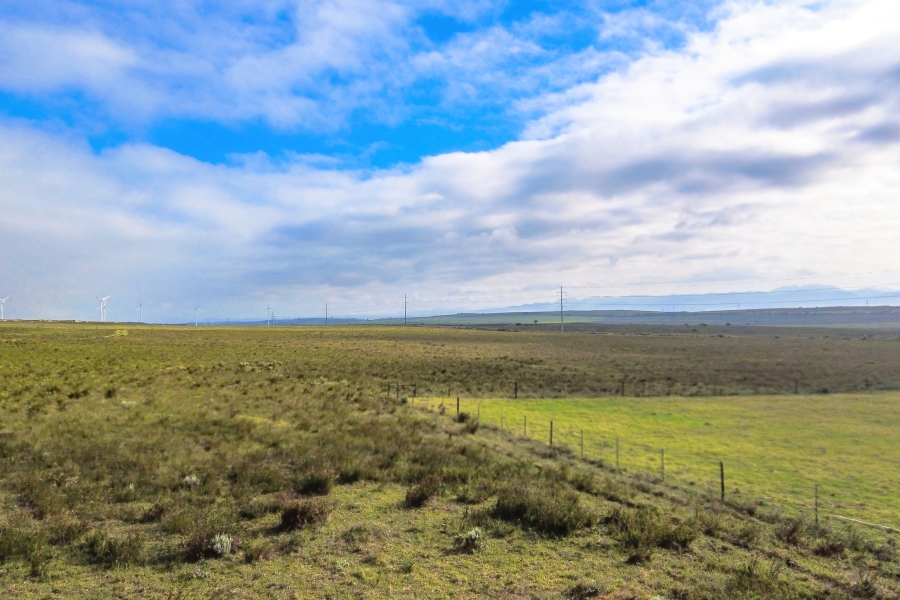 0 Bedroom Property for Sale in Humansdorp Rural Eastern Cape
